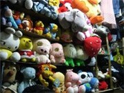 Bóng đá anh, ngoại hạng anh, lịch thi đấu euro 2012, Thu thập thú nhồi bông để ủng hộ từ thiện